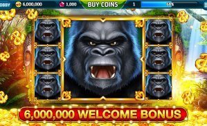 888wim bet